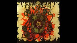 Dyscrasia  Septical StomachPumped Remnants 2003 HQ Full Album [upl. by Kletter600]