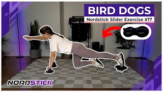 Strengthen Core and Balance with Bird Dogs Using the MultiSlider [upl. by Ahsiet]