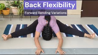 Back flexibility  leg stretching  forward bending [upl. by Ji]