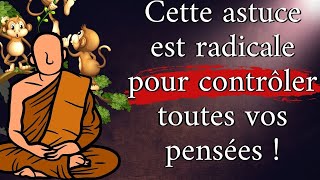 COMMENT CONTROLER SES PENSÉES NÉGATIVES  Enseignement du Bouddha [upl. by Matta55]