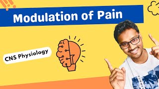 Modulation of pain  CNS physiology [upl. by Duyne656]