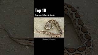 Top 10 Deadliest Creatures real human killer Number 3 Snakes 1 animals wildlifeenthusiast [upl. by Neelya]