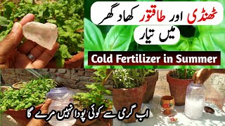 Super Duper Liquid Fertilizer Use On Your Plants  Very Cold Fertilizer In Summer Season [upl. by Anetta734]