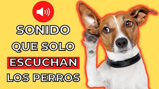 SONIDO QUE SOLO ESCUCHAN LOS PERROS 🐶 Sonidos para perros [upl. by Dinerman183]