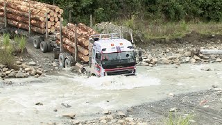 East Coast Forest Industry Gisborne New Zealand [upl. by Liamaj]