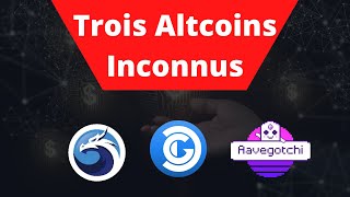 Top Trois ALTCOINS A Découvrir sur l’Ecosystème POLYGON [upl. by Ailecnarf99]