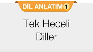 Dil Ailesi  Yapı Bakımından Diller  Tek Heceli Diller [upl. by Kylila]