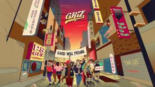 My Friends And I  GRiZ ft ProbCause  Good Will Prevail [upl. by Neenwahs]