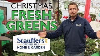 MUSTHAVE Christmas Fresh Greens  Stauffers of Kissel Hill [upl. by Kasper608]