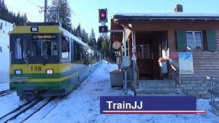 Jungfrau Region  Almend  Wengernalpbahn  Swiss Rack Railway  Swiss Alps  WAB [upl. by Awram839]