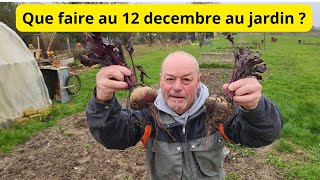 Que faire au jardin au 12 décembre [upl. by Vaclav]