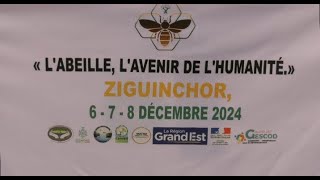 « l’abeille l’avenir de l’humanité » au menu du congrès international de l’apiculture en casamance [upl. by Nev]