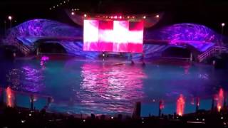 Shamu Rocks from SeaWorld Orlando Summer Nights 62213 [upl. by Ainosal866]