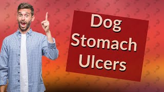 How can I tell if my dog has a stomach ulcer [upl. by Ron]