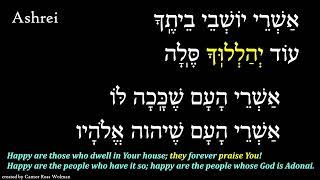 Ashrei  Prayer Video  Cantor Ross Wolman [upl. by Anerac476]