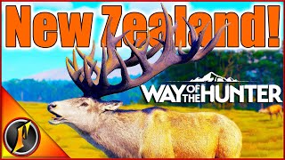 FIRST HUNT on New Zealand  Chasing Monster Red Deer amp More in Way of the Hunter [upl. by Nodarse]