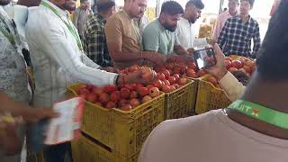 todays live dalimb lilav kd Choudhary fruitx dalimb market nashik [upl. by Evol]