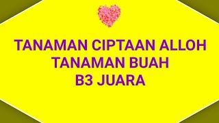 Tanaman Ciptaan Allah quotTanaman Buah B3 JUARAquot [upl. by Notsirt]