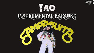 Sampaguita  Tao Karaoke  HQ Instrumental [upl. by Cogswell922]