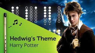 Hedwigs Theme Harry Potter on Tin Whistle D  tabs tutorial [upl. by Eenolem900]