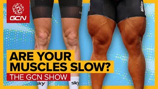 The SUPERPOWER Of Knowing Your Muscle Fibre Type  GCN Show Ep 619 [upl. by Ormiston]