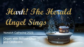 Hark The Herald Angels Sing  Norwich Cathedral Organ [upl. by Navaj476]