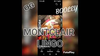 MONTCLAIR LINGO 24  X OG BOOLEY [upl. by Lerred89]