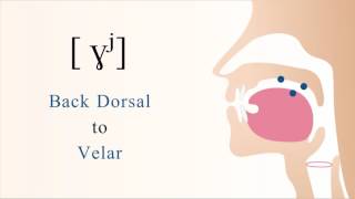 ɣʲ  voiced unaspirated palatalized dorsal velar fricative [upl. by Aicirtan174]