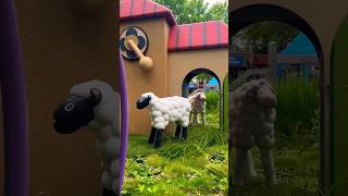 Rundbootfahrt quotTik Takquot im Plopsaland de Panne 🐑 30052024 freizeitpark plopsalanddepanne [upl. by Alodie152]