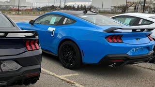 Should You Buy a 2024 Mustang over a 2020 SHELBY GT500 Here’s Why [upl. by Arracot]