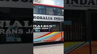 Pramugara keren  Doble Decker Blitar  Bitung busrosaliaindah busmania rosaliaindahtransport [upl. by Callie]