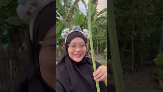 VIRAL DAUN PISANG GORENG ALA THAILAND [upl. by Lolanthe]