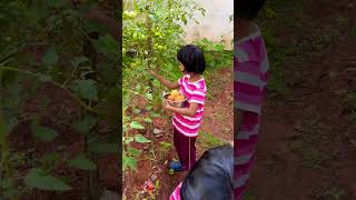 Nanka tomato parika porom 😁gardening tomatolittlegirl [upl. by Karol]