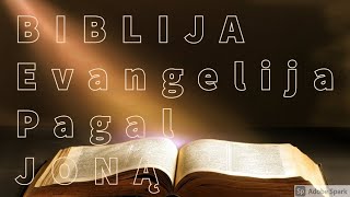 EVANGELIJA PAGAL JONĄ BIBLIJA [upl. by Varick]