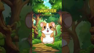 Mengenal hamster lucu hamster kebunbinatang zoo animals [upl. by Alpert]