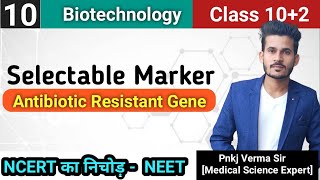 Selectable marker  Antibiotic Resistant Gene  Biotechnology  NEET  AIIMS [upl. by Samala]