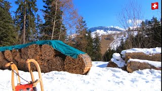 Sledding in Switzerland🇨🇭Wiriehorn toboggan run 5 km  WiriehornSchlittelweg [upl. by Htebazie719]