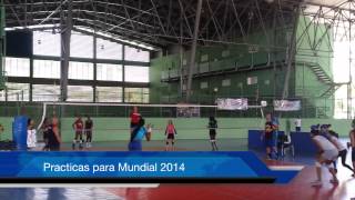 Practicas de Seleccion Dominicana para el Mundial Voleibol 2014 [upl. by Diandre]