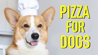 PIZZA FOR DOGS  Topi the Corgi [upl. by Sivraj543]