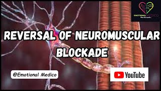 Reversal of Neuromuscular Blockade  CNS pharmacology  emotionalmedico [upl. by Anilac]