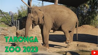 Taronga Zoo Visit 2023 [upl. by Tompkins98]