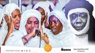 Intenses moments de Zikr Niane Baye Seydi Thiaw lahi 2023 [upl. by Nido]