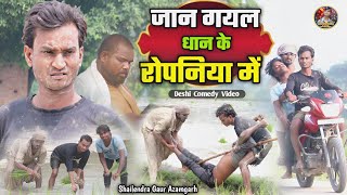 जानगयलधानकेरोपनियामें 😂 Comedy video shailendragaurazamgarh Jan gayal dhan ke ropaniya me [upl. by Acire245]