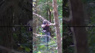 Did I Hit That Guy 28 Airsoft Sniper SHORTS [upl. by Ailbert]