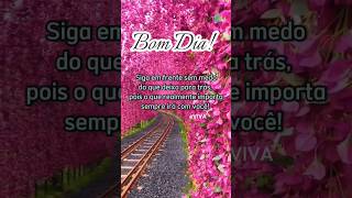 Mensagem de bom dia 🌻 Siga em frente e seja FELIZ 🌼 [upl. by Meryl]