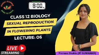 🌸Lecture6 Sexual Reproduction in Flowering Plants Class 12 Biology  Prerana Shukla IIT Guwahati [upl. by Ientruoc]