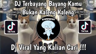 DJ TERBAYANG BAYANG KAMU TREND KUCING JOGET  DJ BUKAN KALENG KALENG BY ARYA FVNKY VIRAL TIKTOK 2024 [upl. by Eyk]