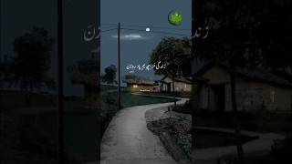 Zindagi k Mushkilaat💔 kashmiri sad life status youtubeshorts shortvideo whatsappstatus dua [upl. by Davin]