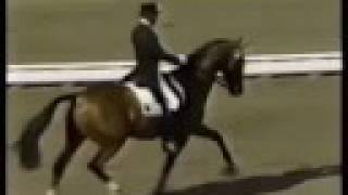 Klimke and Ahlerich  1984 Olympics Dressage [upl. by Campagna904]