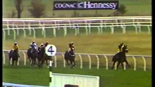 1988 Glynwed International Chase Newbury Full Race Pegwell Bay [upl. by Olsson]